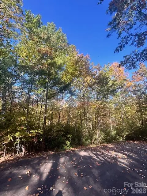 0 Wilkerson Court #37, Lake Lure, NC 28746 - #2