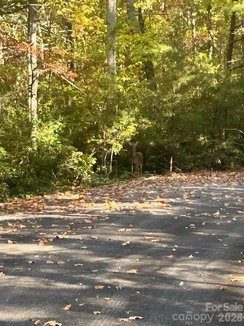 0 Wilkerson Court #37, Lake Lure, NC 28746 - #3