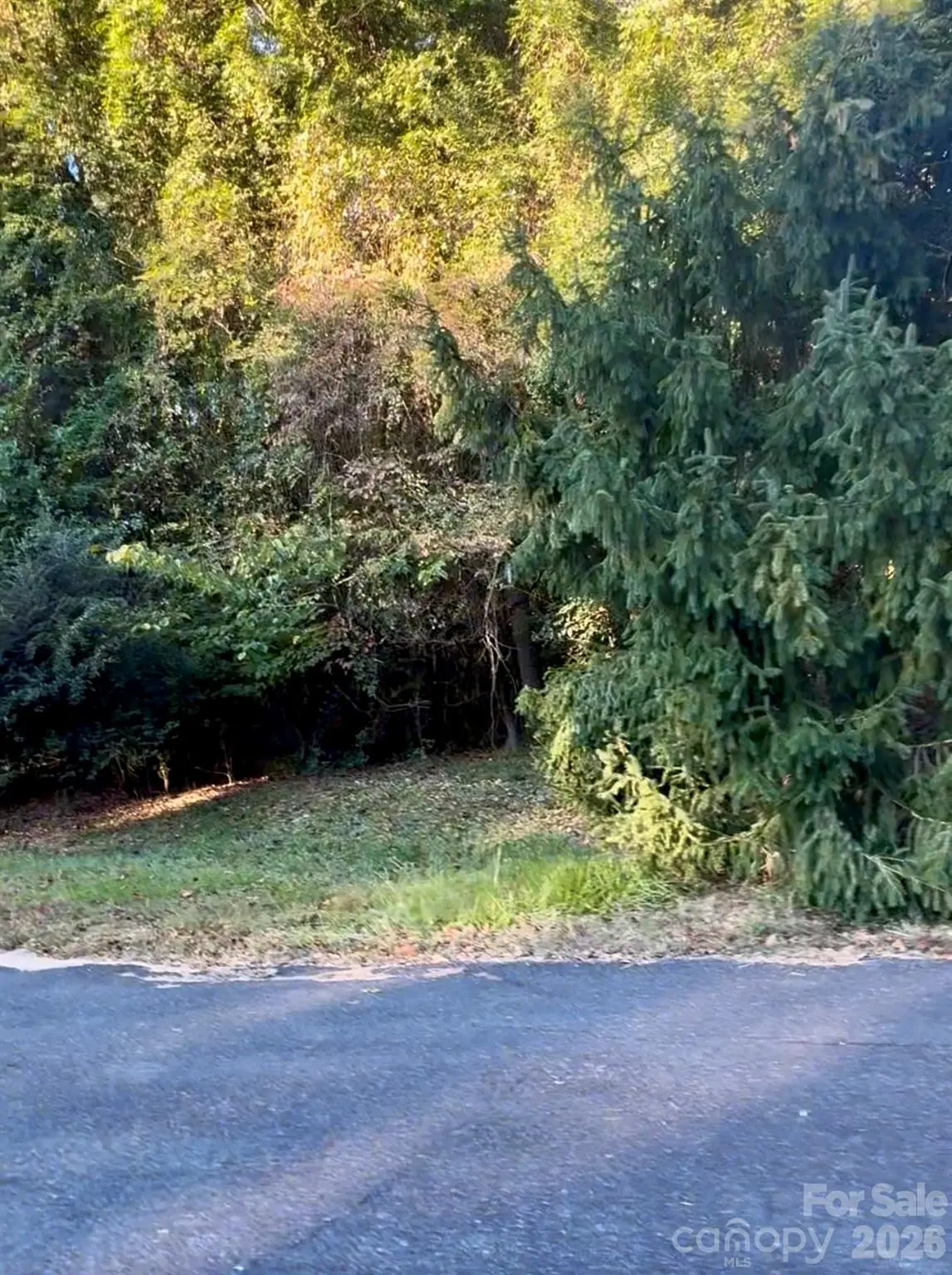 170 Softwind Lane #P/O Lot 6 Softwinds, Concord, NC 28025 - #1