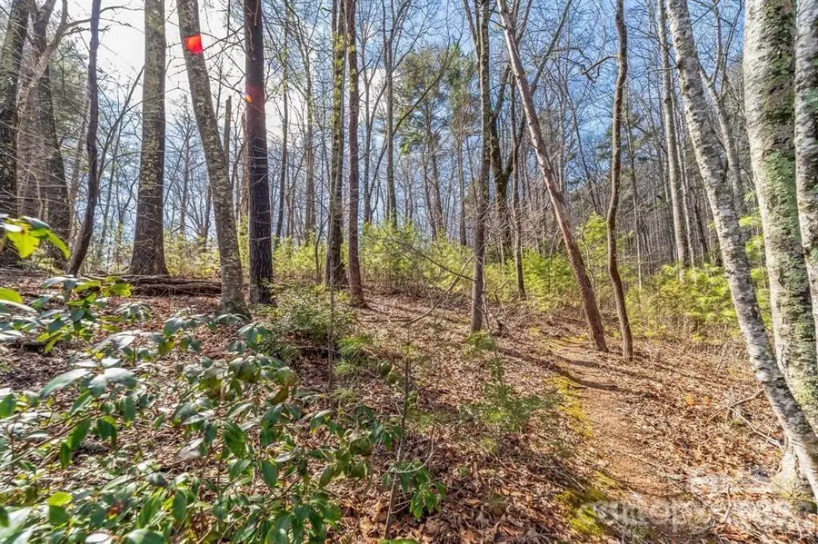 99999 Mill Road, Asheville, NC 28805 - #2
