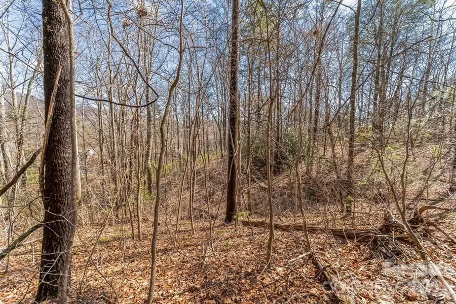 99999 Mill Road, Asheville, NC 28805 - #3