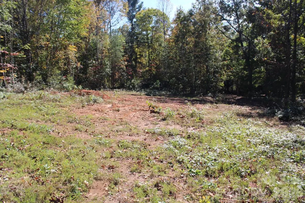 173 Crestwood Avenue, Morganton, NC 28655 - #1