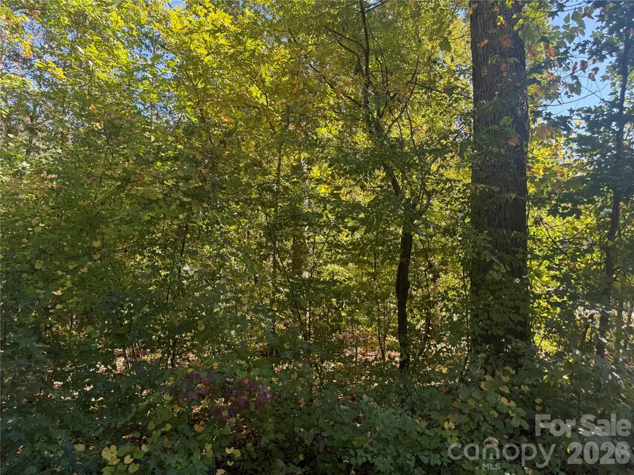 1087 Holland Oaks Drive, China Grove, NC 28023 - #2