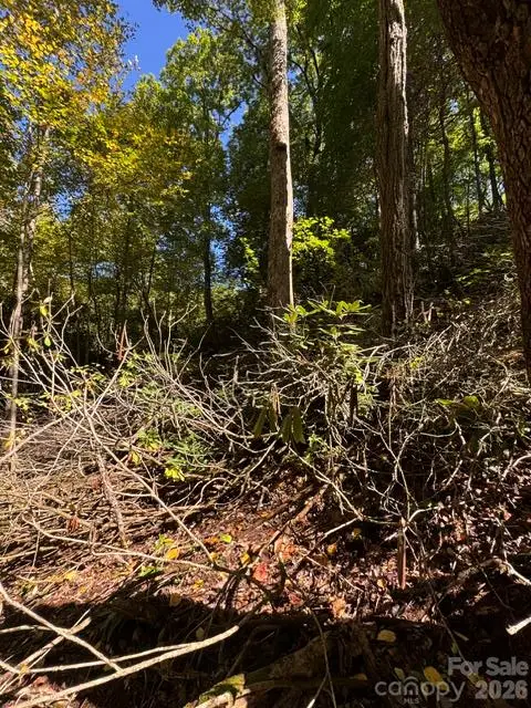 9999 Bird Creek Estates Road, Black Mountain, NC 28711 - #2