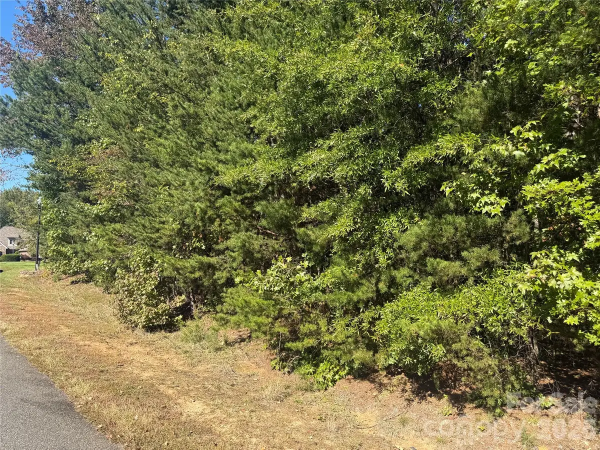 1156 Holland Oaks Drive, China Grove, NC 28023 - #1