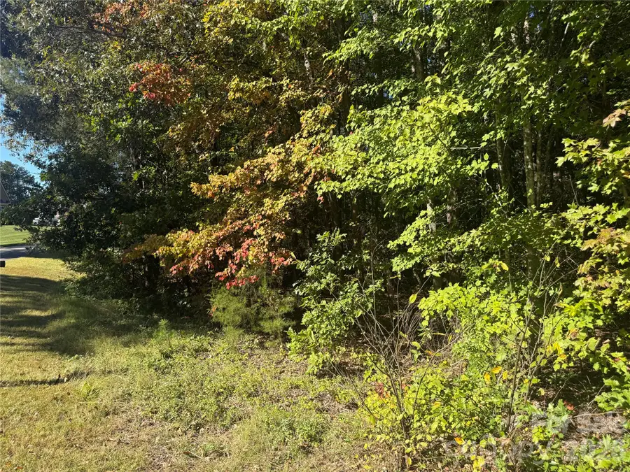 1156 Holland Oaks Drive, China Grove, NC 28023 - #2