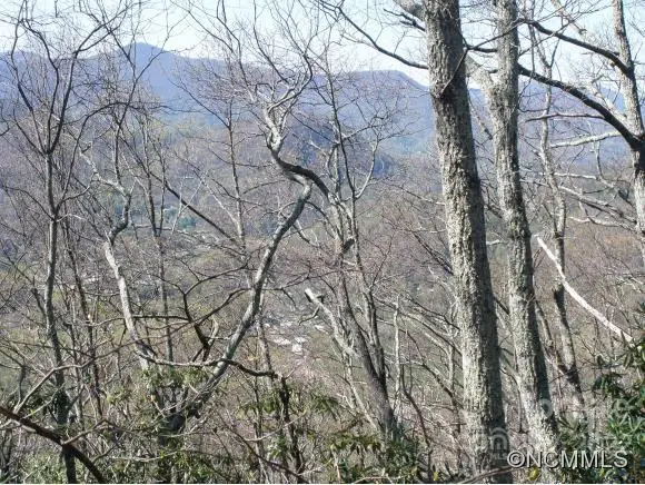 0 Anglers Ridge Road #B1, B2,B3,B4, Maggie Valley, NC 28751 - Image #1