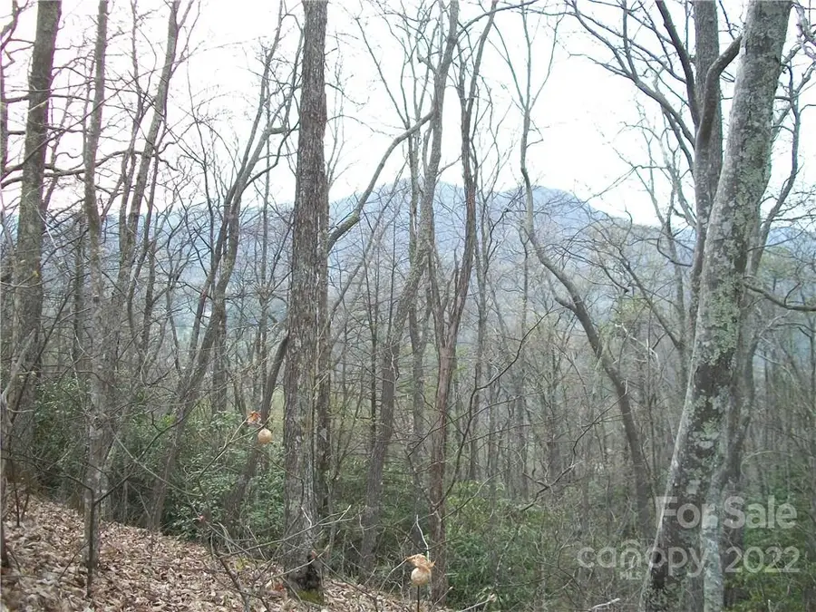 0 Anglers Ridge Road #B1, B2,B3,B4, Maggie Valley, NC 28751 - Image #2
