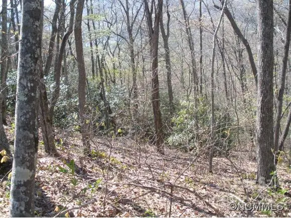 0 Anglers Ridge Road #B1, B2,B3,B4, Maggie Valley, NC 28751 - Image #3