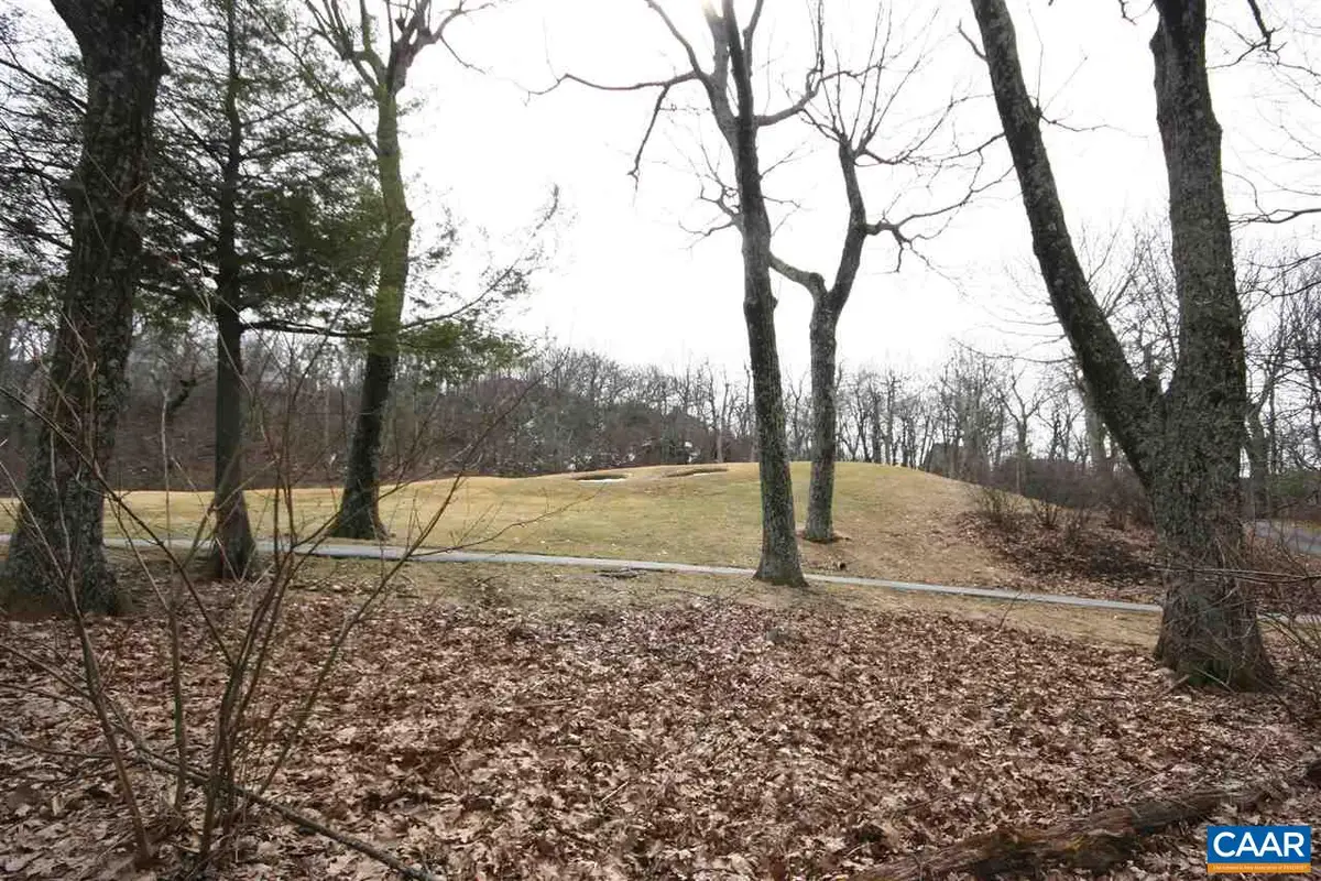 355 Devils Knob Loop, Wintergreen, VA 22958 - #1