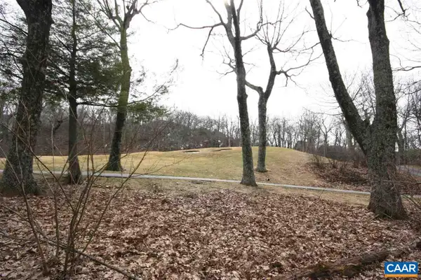 355 Devils Knob Loop, Wintergreen, VA 22958