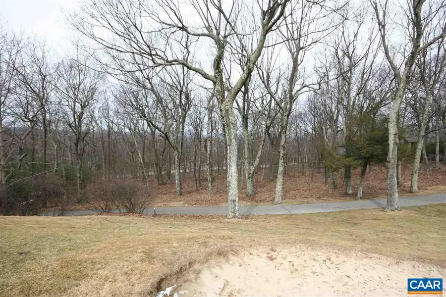 355 Devils Knob Loop, Wintergreen, VA 22958 - #2
