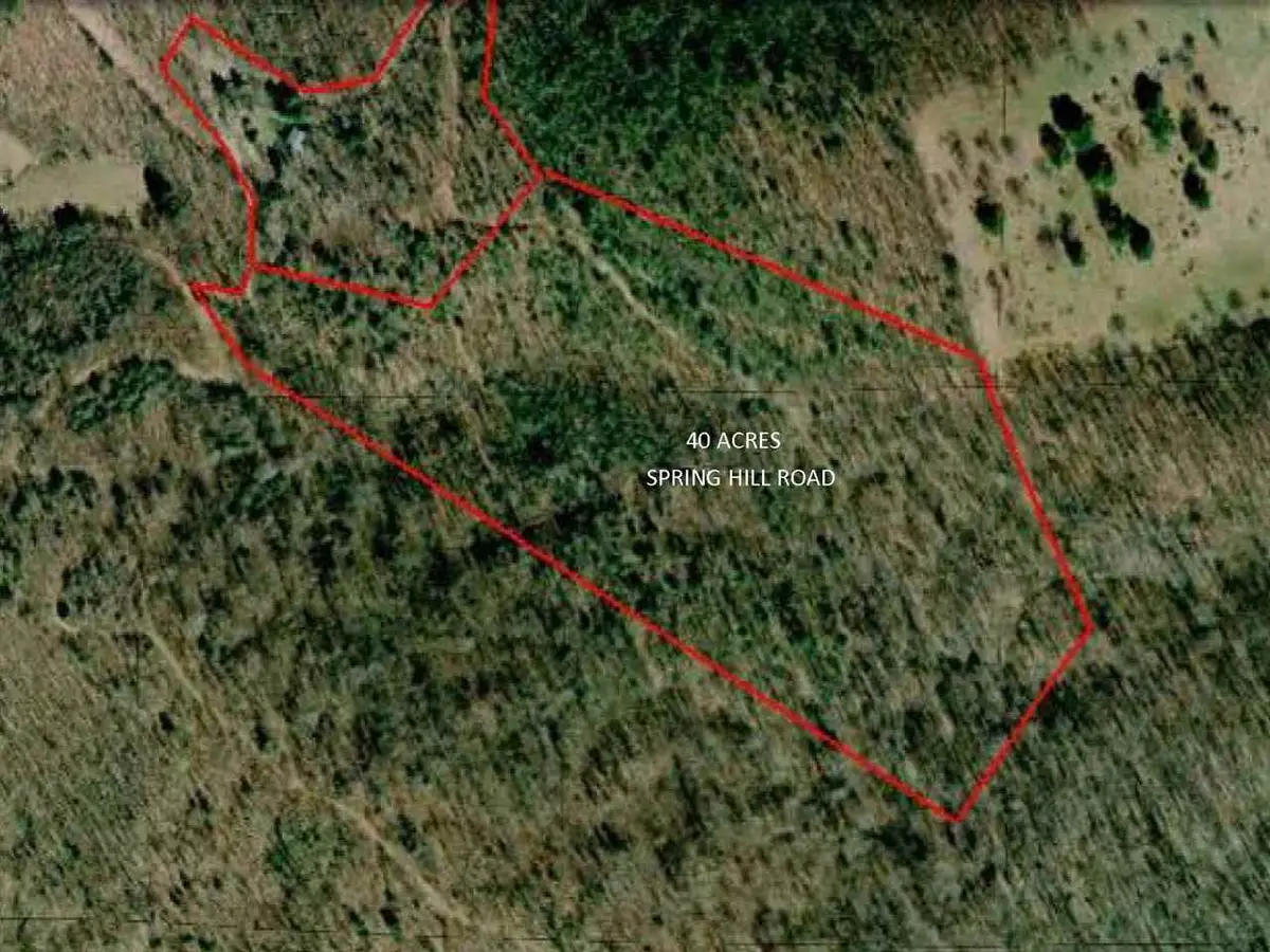 n/a Spring Hill Rd, Hot Springs, VA 24445 - #1