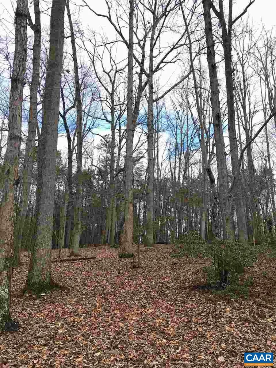 503 Garden Ln, Palmyra, VA 22963 - #2