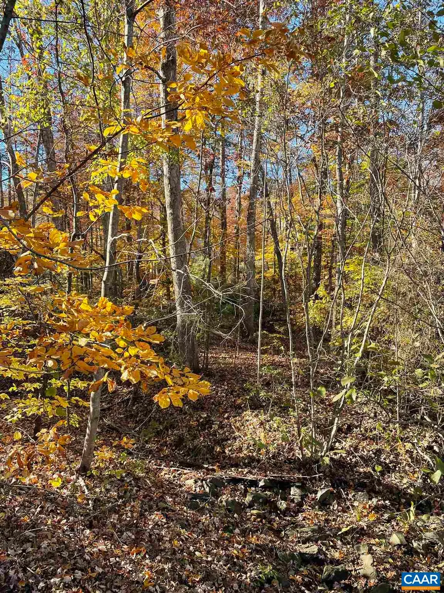 20 Chippewa Ln, Palmyra, VA 22963 - Image #3