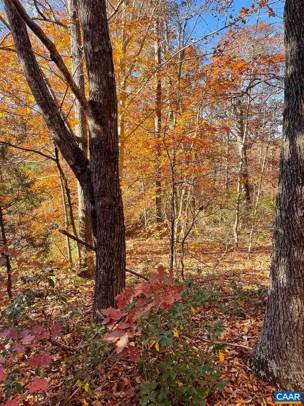 19 Chickasaw Pl, Palmyra, VA 22963