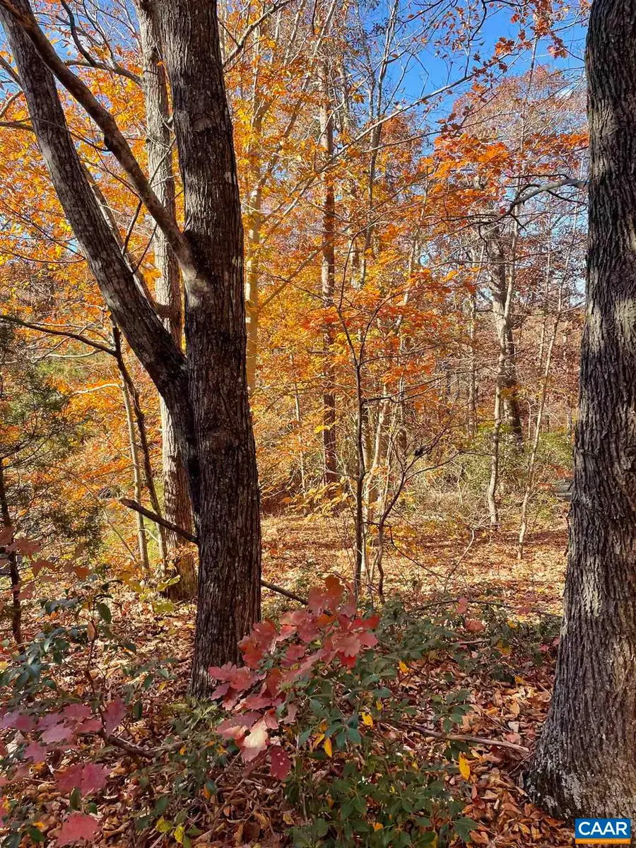 19 Chickasaw Pl, Palmyra, VA 22963 - Image #3