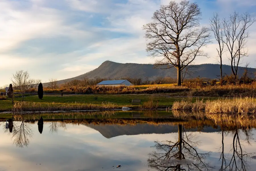 Lot-91 Dave Berry Rd, McGaheysville, VA 22840 - Image #3