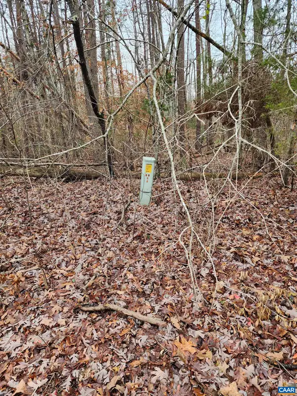 TBD Union Hill Rd, Buckingham, VA 23921