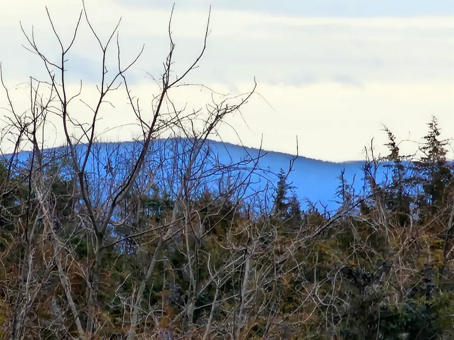 3 CROWN RIDGE Berry Farm Rd, Staunton, VA 24401 - Image #3