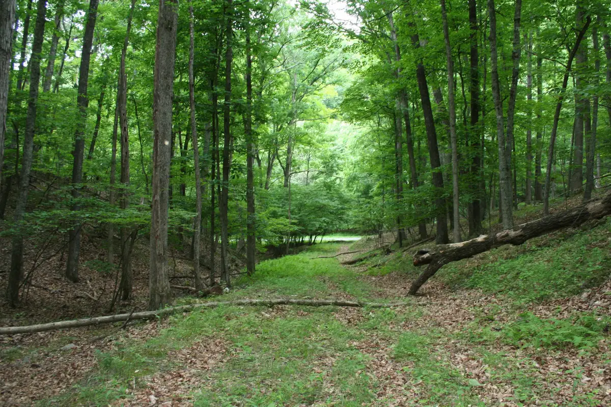 20 High Valley South, Monterey, VA 24465 - Image #1