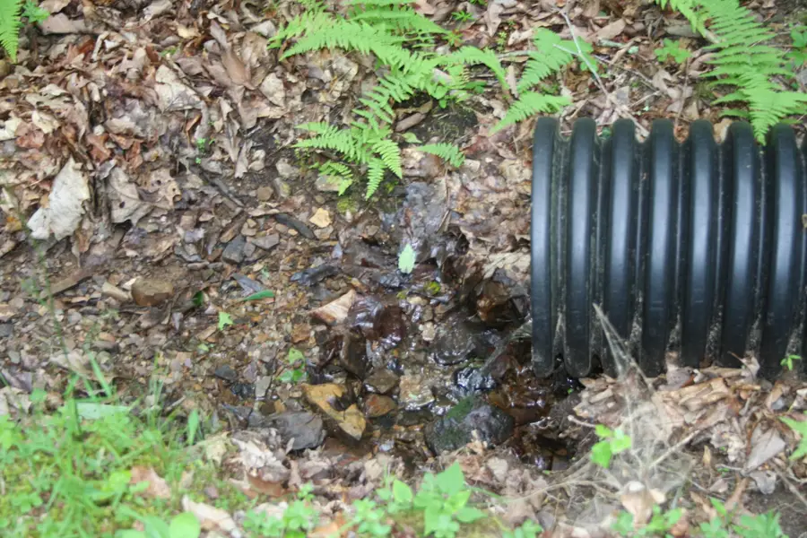 20 High Valley South, Monterey, VA 24465 - Image #2