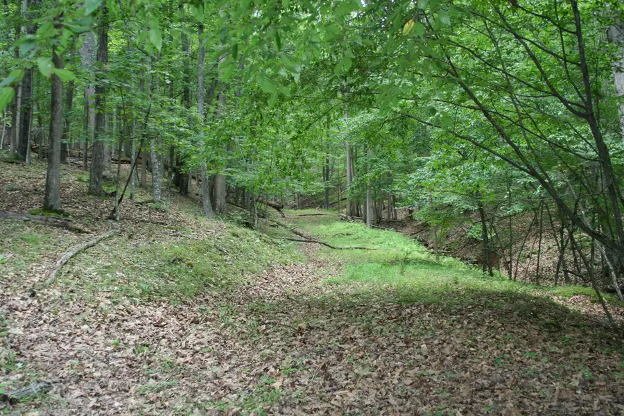 20 High Valley South, Monterey, VA 24465 - Image #3