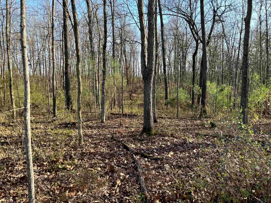 TBD Knightly Rd, Mount Sidney, VA 24467 - Image #2