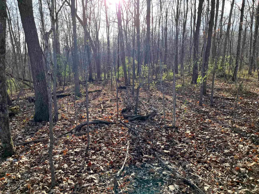 TBD Knightly Rd, Mount Sidney, VA 24467 - Image #3