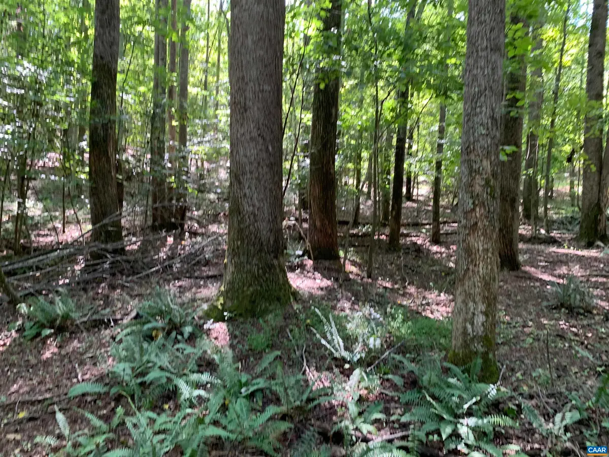 Lot1 Green Creek Rd, Schuyler, VA 22969 - #1
