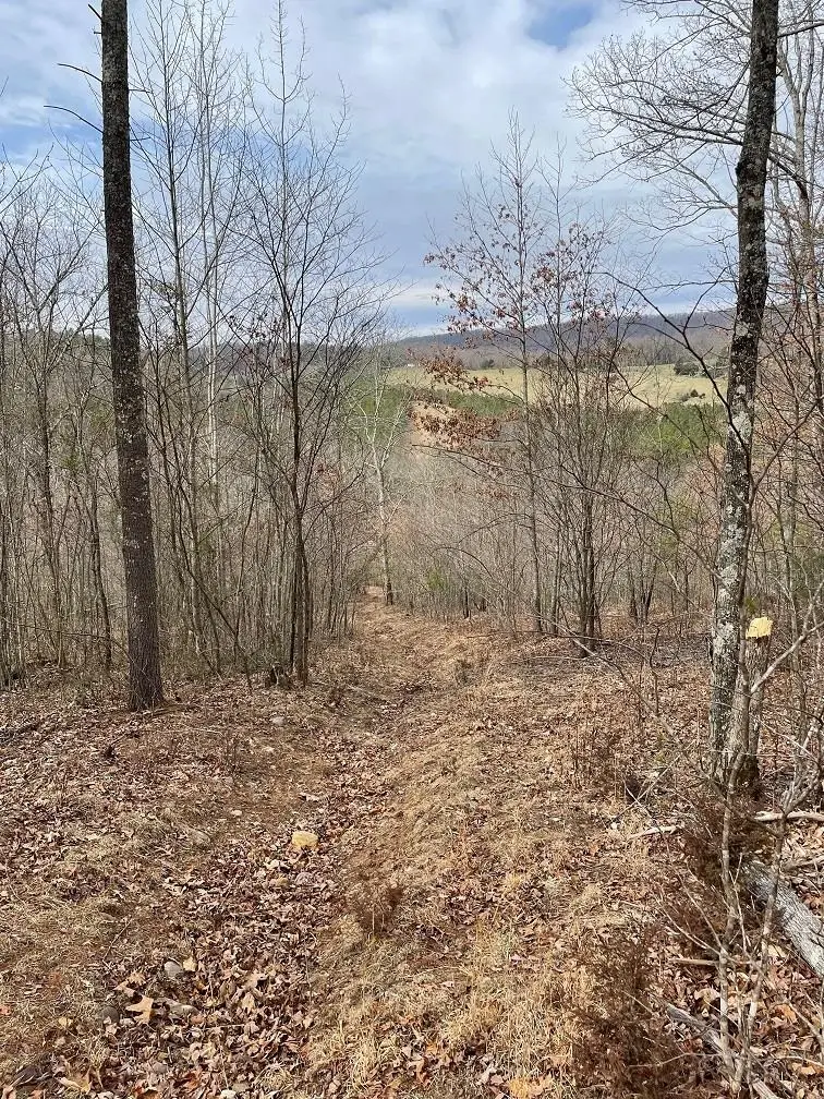 70-131 Estaline Valley Rd, Craigsville, VA 24430 - Image #2