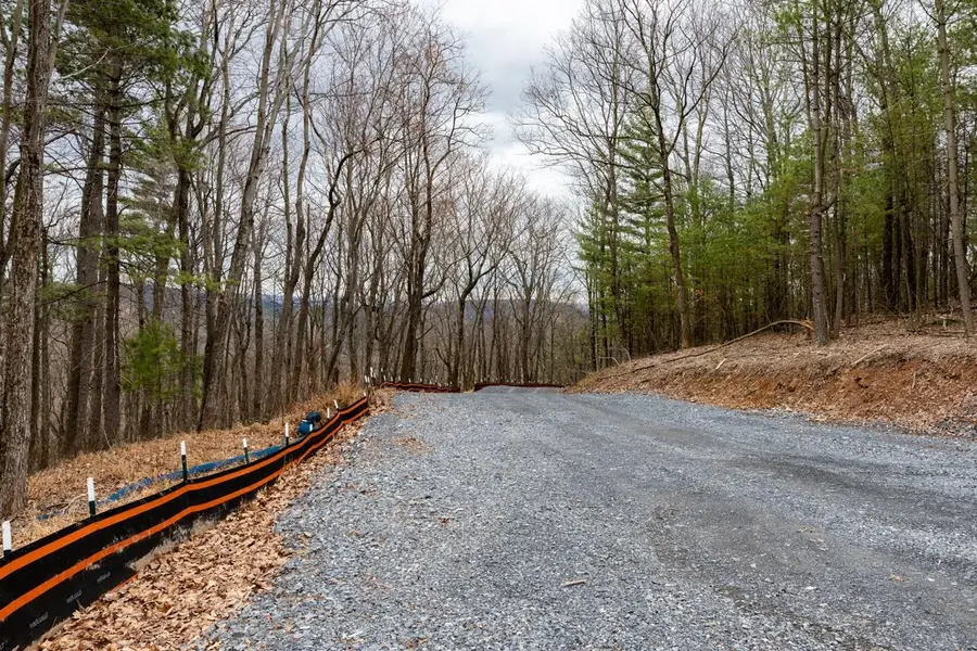 0 Toms Park Ln, Fulks Run, VA 22830 - Image #3