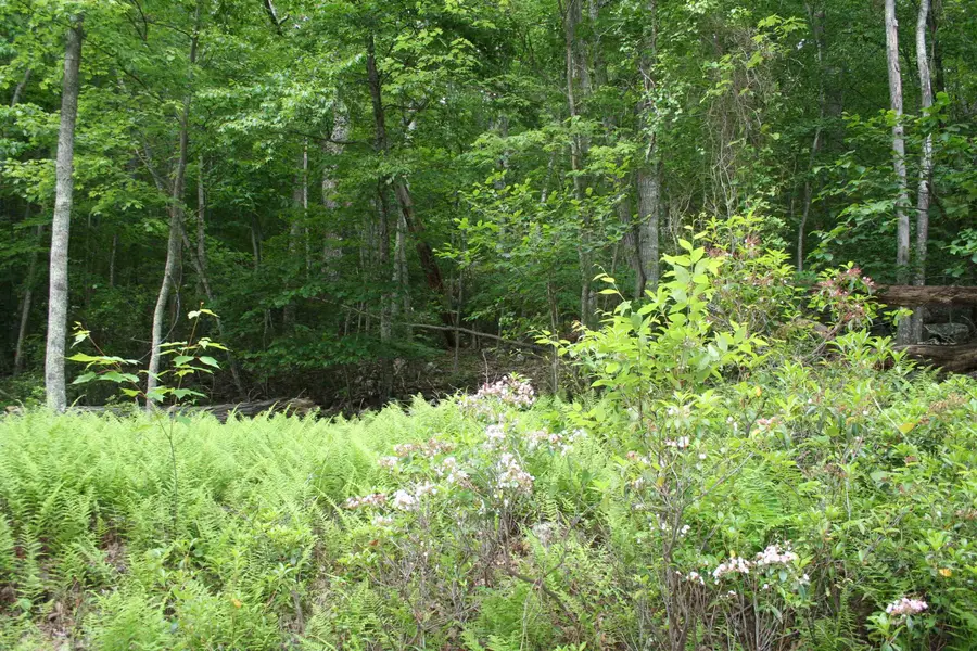 High Valley South, Monterey, VA 24465 - Image #2