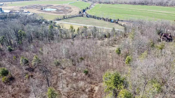 TBD Rocky Ridge Ln, Fulks Run, VA 22830