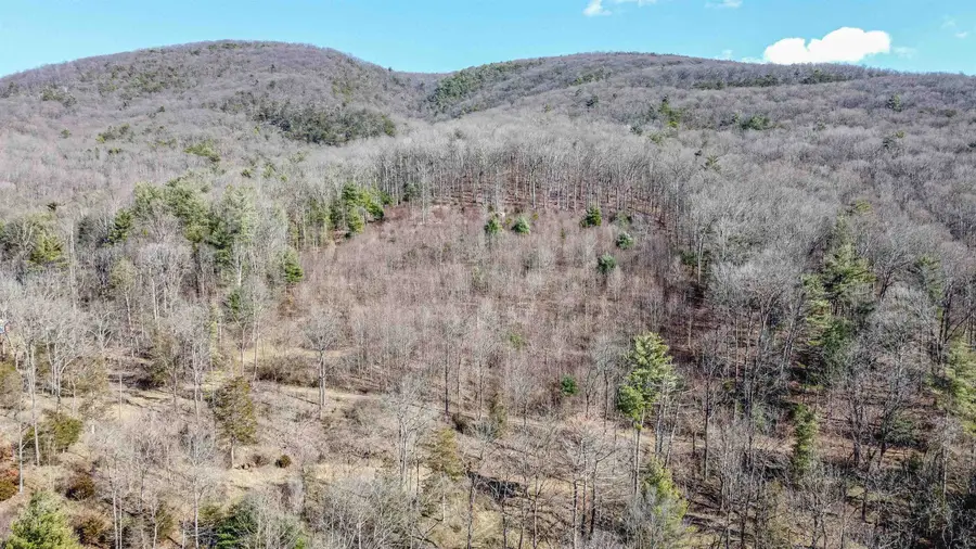 TBD Rocky Ridge Ln, Fulks Run, VA 22830 - Image #3