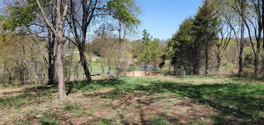 12 CROWN RIDGE Berry Farm Rd, Staunton, VA 24401 - Image #3