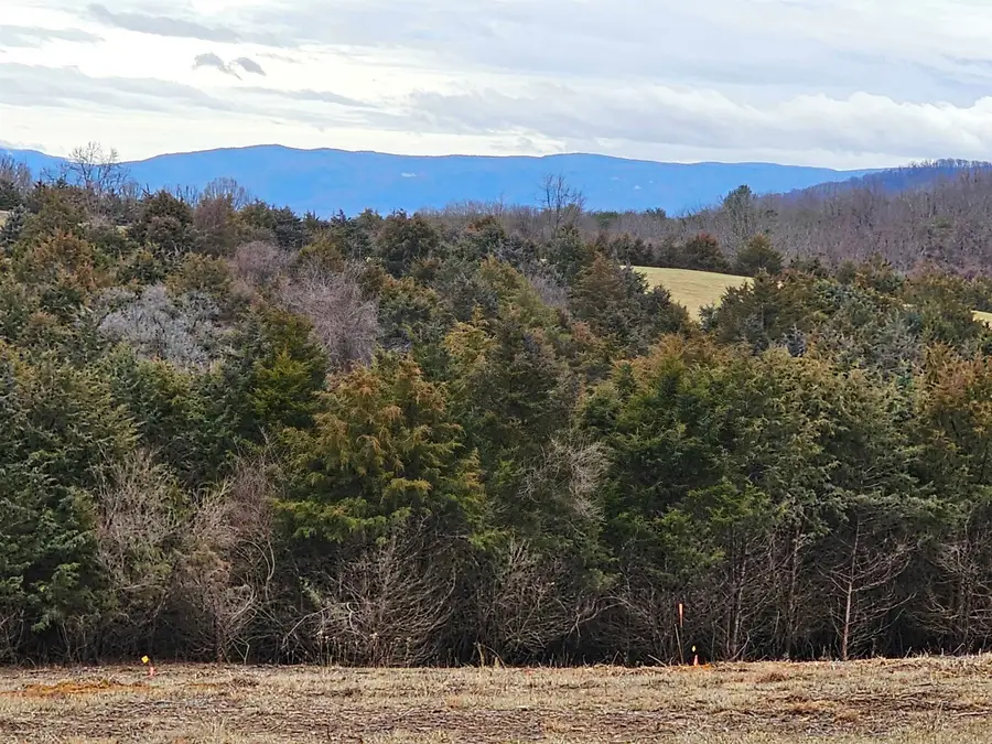 4 CROWN RIDGE Berry Farm Rd, Staunton, VA 24401 - Image #2