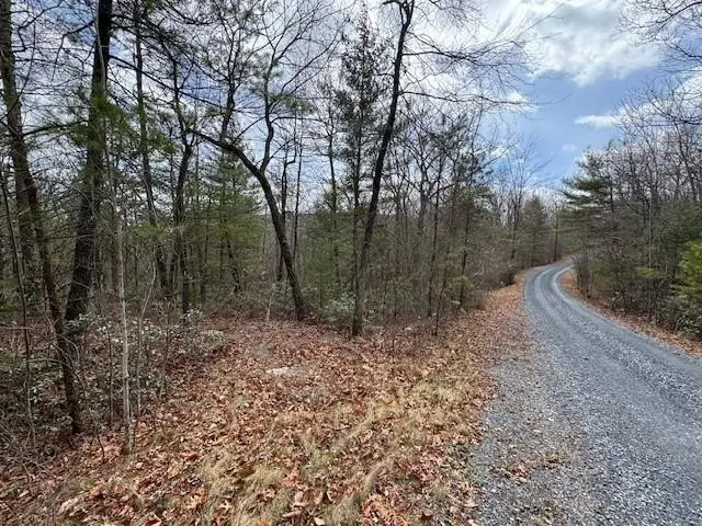 Lot 45 Fetterbush Ln, Hinton, VA 22831 - Image #1
