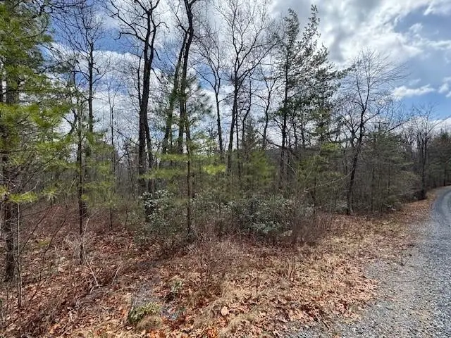 Lot 45 Fetterbush Ln, Hinton, VA 22831 - Image #2