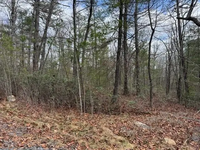 Lot 45 Fetterbush Ln, Hinton, VA 22831 - Image #3