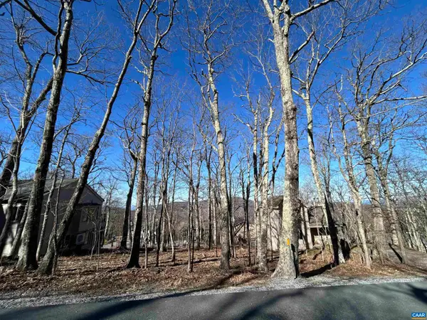 421 Blackrock Dr, Wintergreen Resort, VA 22967