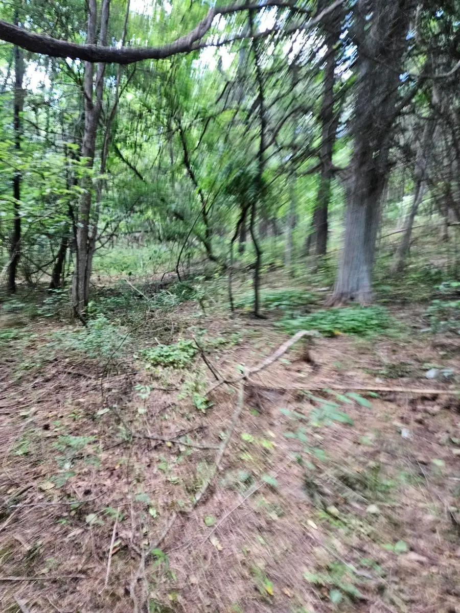 3.39 acres Mossy Creek Rd, Mount Solon, VA 22843 - Image #2