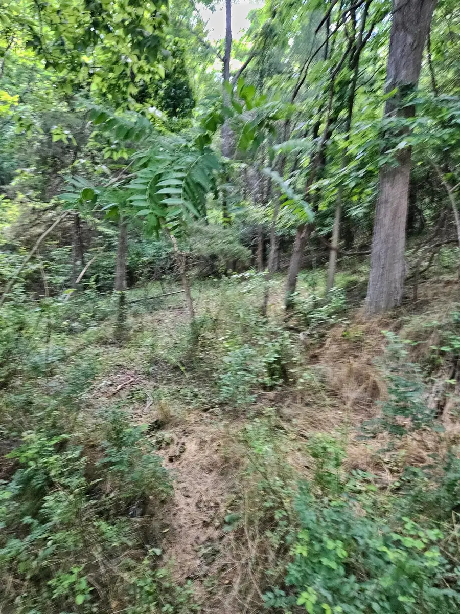 3.39 acres Mossy Creek Rd, Mount Solon, VA 22843 - Image #3