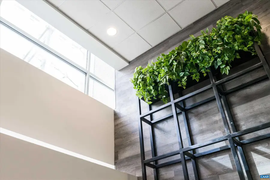 218 Water St W, Charlottesville, VA 22902 - Image #3