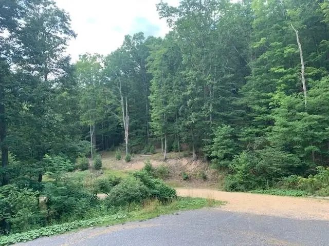 3657 Highland Tpke, Monterey, VA 24465 - Image #3