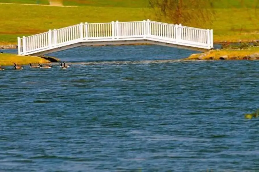 Lot 15 Waterfront Dr, Raphine, VA 24472 - Image #2