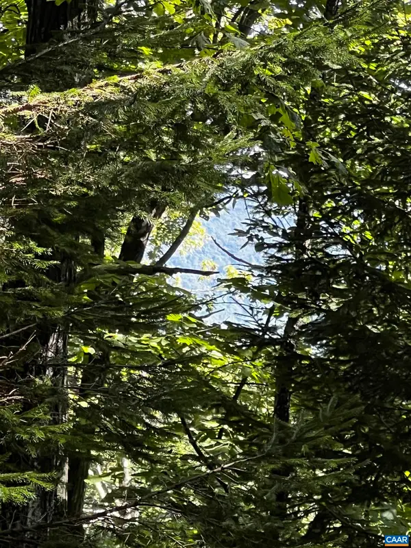 TBD Shamokin Springs Trl, Wintergreen Resort, VA 22967