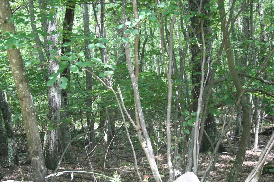 TBD High Valley South, Monterey, VA 24465 - Image #3