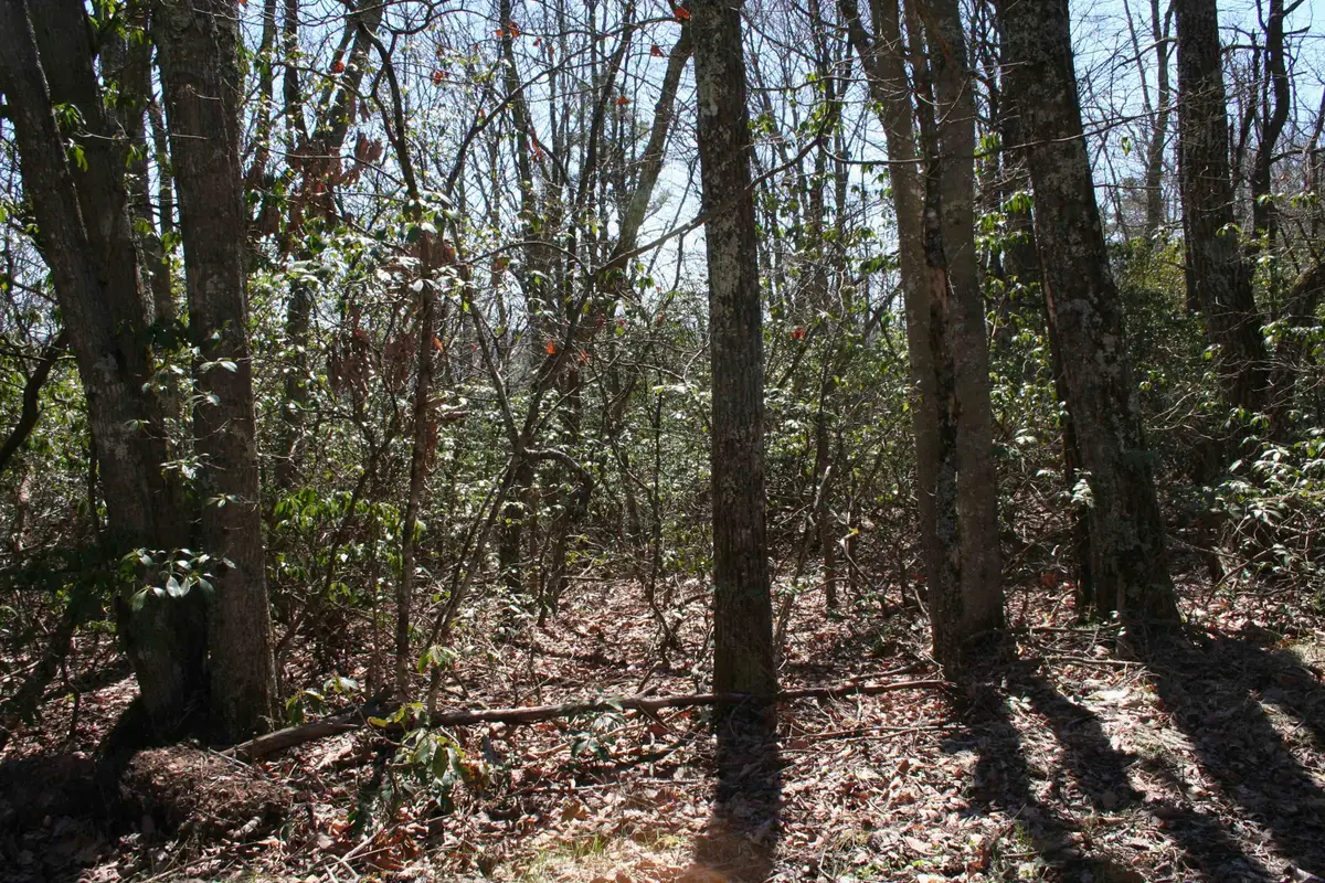 TBD Summit Dr. Summit Dr N, Monterey, VA 24465 - Image #1