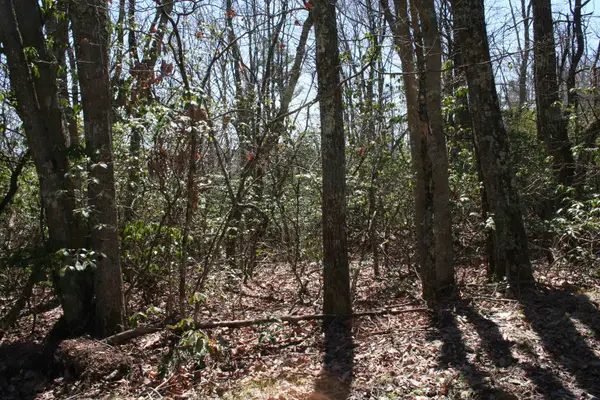 TBD Summit Dr. Summit Dr N, Monterey, VA 24465